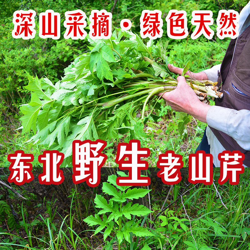 老山芹饺子:吃过就忘不了的味道