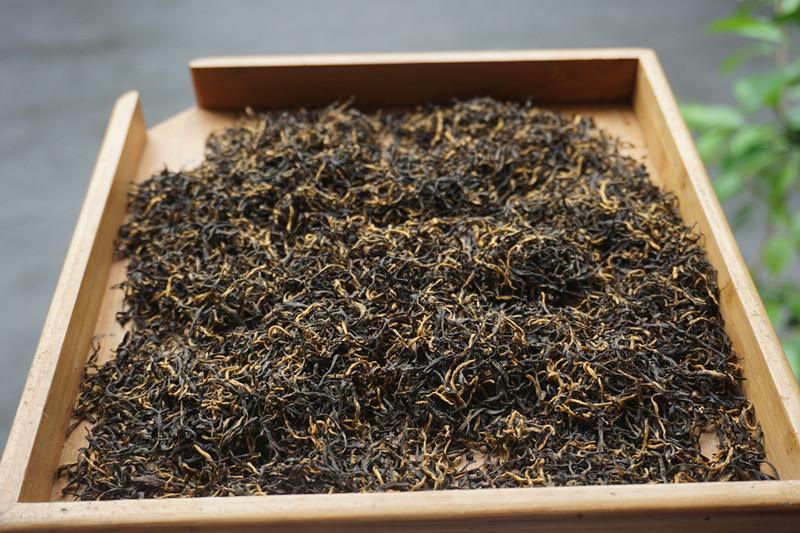 2021年明前新茶御级宁红金毫修水红茶厂家原产地直销散装500g