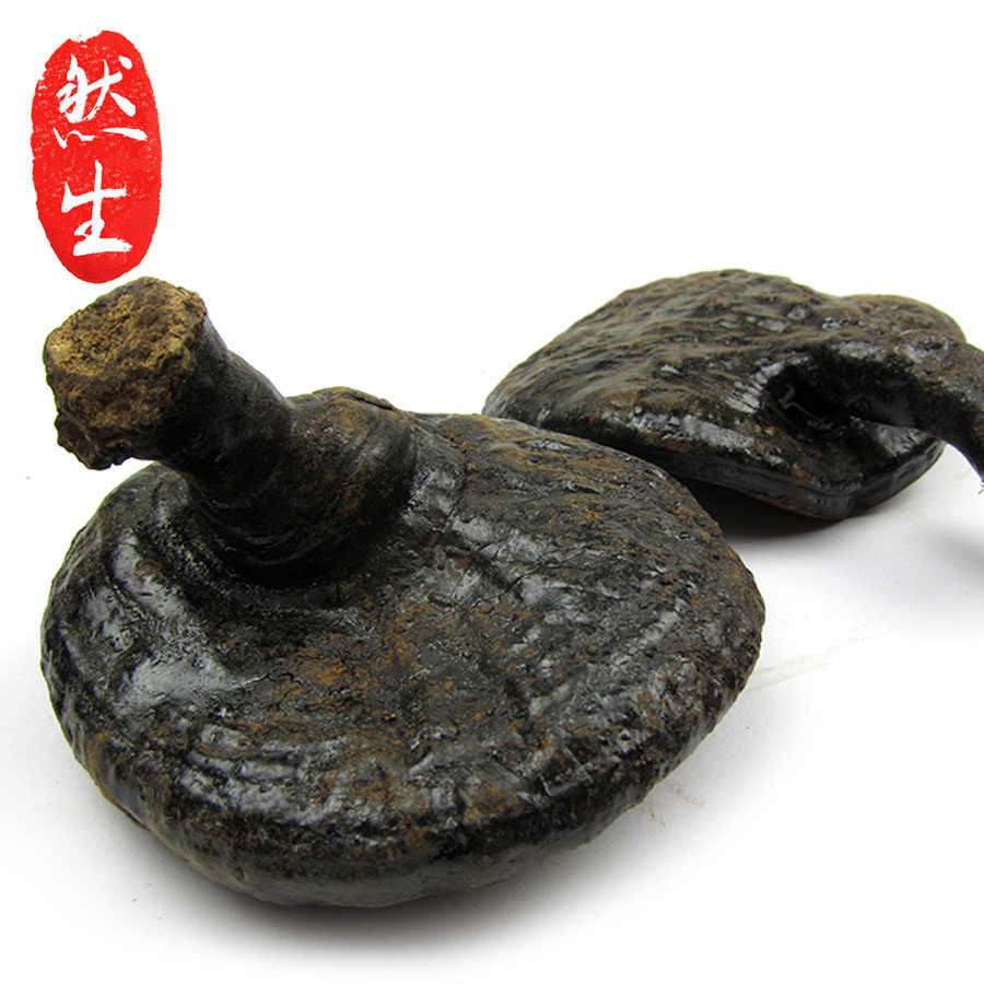 然生云南野生反柄紫灵芝野生马蹄灵芝黑灵芝可切灵芝片5-8cm 250g