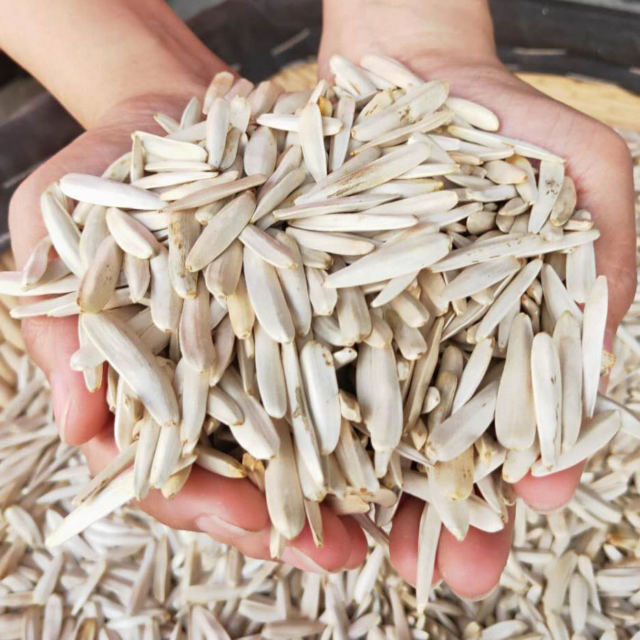 瓜子新疆马牙牙签葵花籽散装特级阿克苏长马白皮瓜子