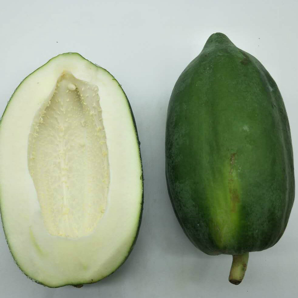 木瓜新鲜广西青木瓜greenpapaya沙拉凉拌腌酸蔬菜木瓜