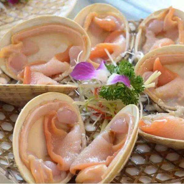 【买6斤送6斤】大梅小镇当季新鲜美国红贝海鲜贝类烧烤