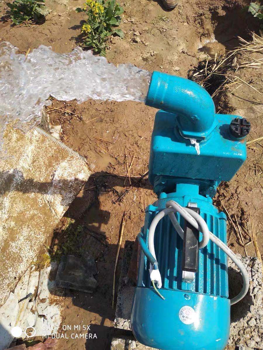 海兰流量自吸离心泵污水抽水水泵大功率家用农用水泵