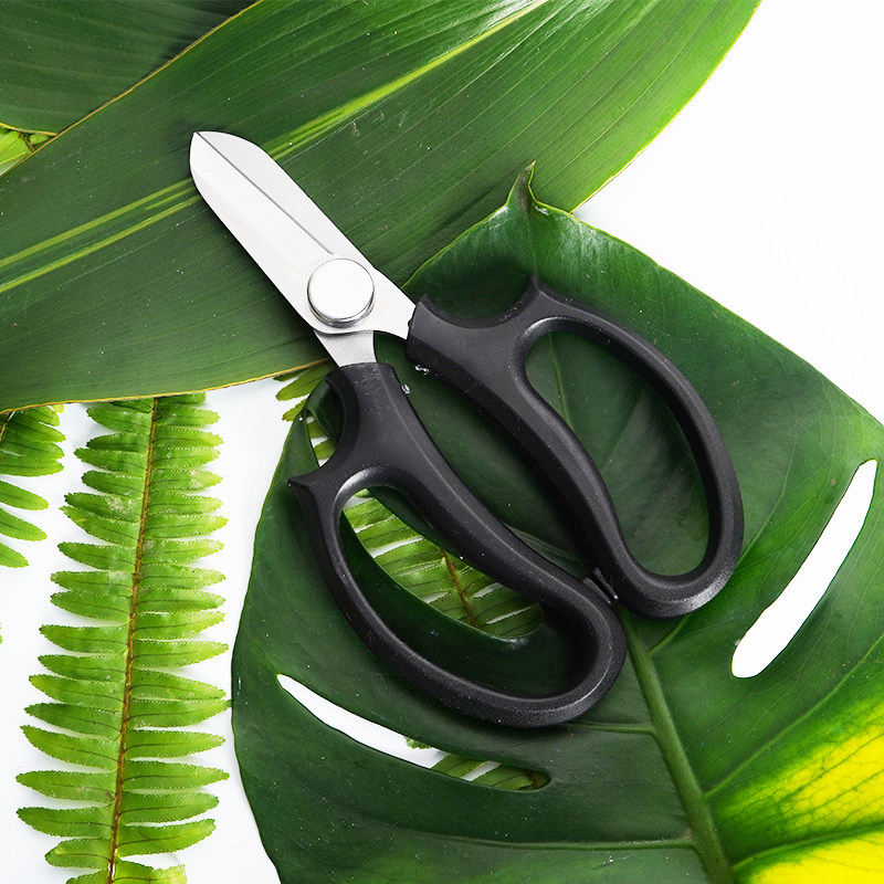 花剪花艺剪刀日本修枝台湾日式插花花花道花剪刀