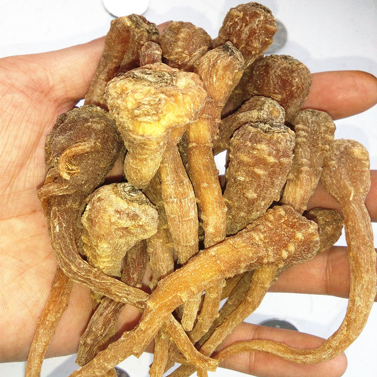 雪人人参100g雪参西藏野生中药材玉山男女滋补山参