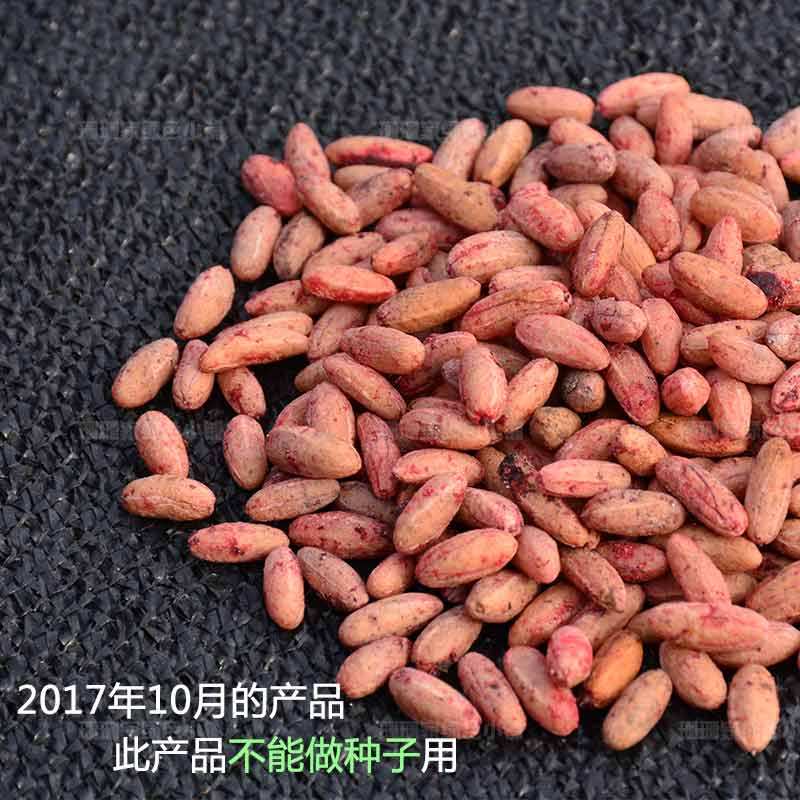 茱萸萸籽枣子散装药材可做果核枕头颈椎3斤山茱萸