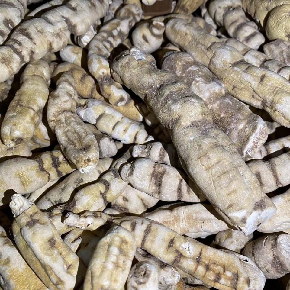 龙鞭参 阳鞭参 云南苗家腾冲特产野生中草药泡酒料泡水煲汤泡酒 - 爱