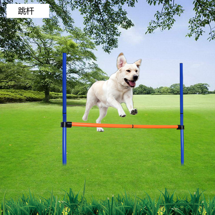 训练器材狗狗用品敏捷单杆跳高跳圈绕桩宠物训练器