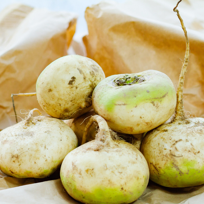 新疆土特产新鲜恰玛当季蔓菁疙瘩蔬菜正宗农产品其它