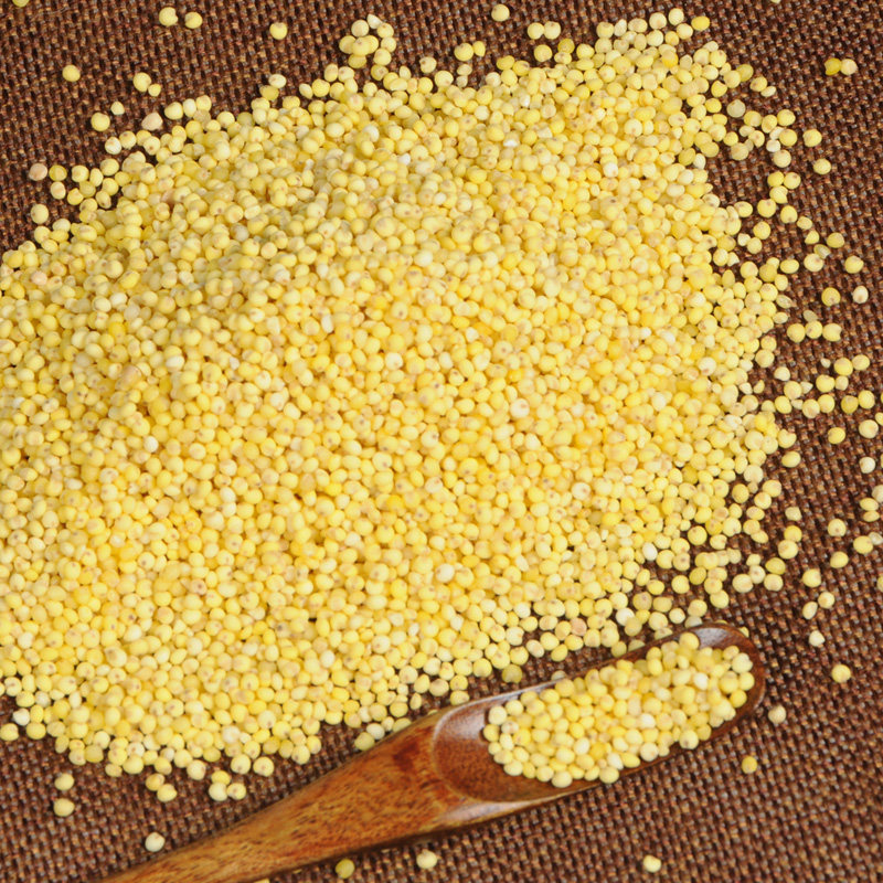 吴阁老沁州黄黍米 糯米 山西特产 黏软黏米黄米包粽子米2kg真空