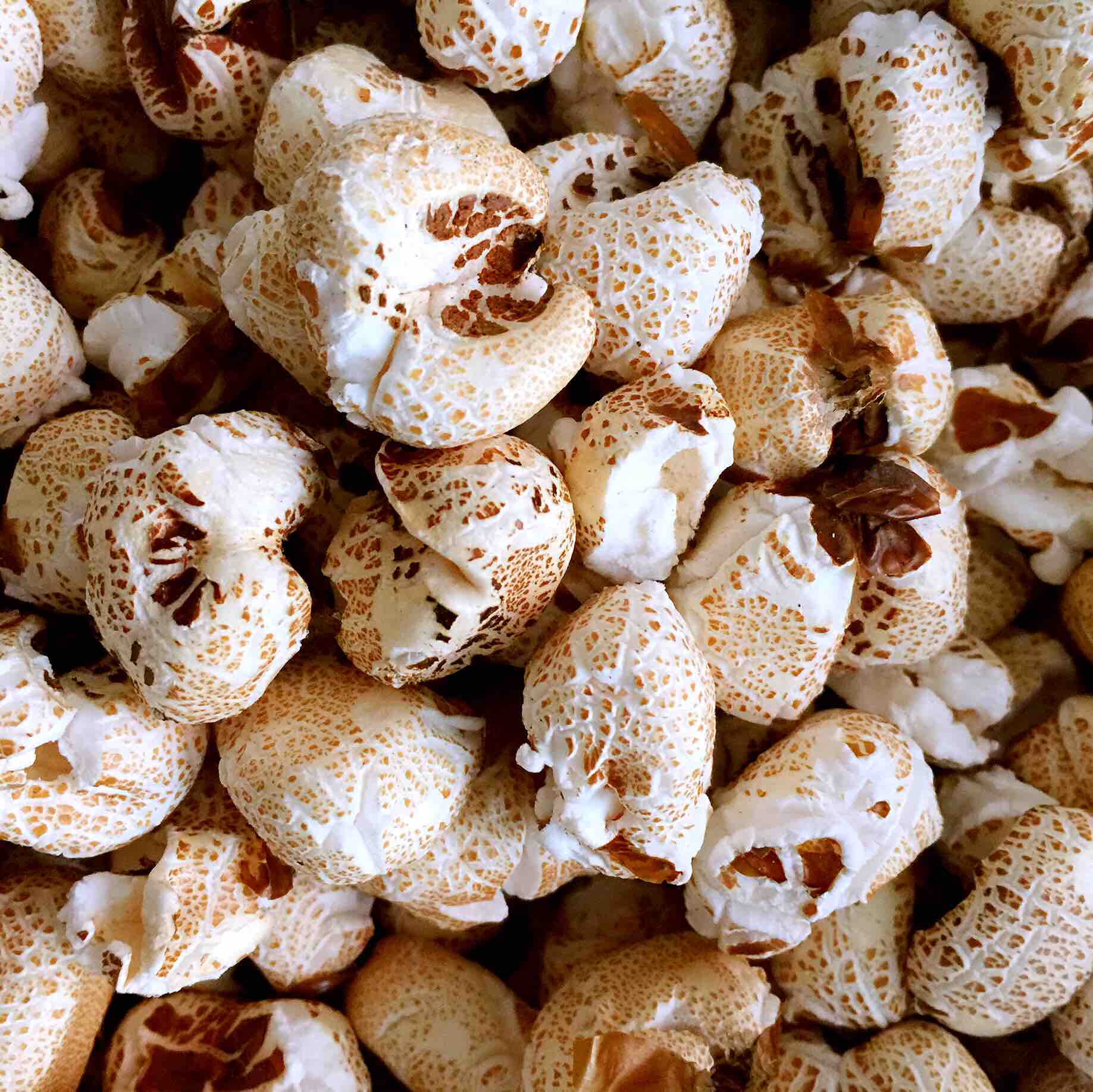 昭通传统手工文化膨化爆米花玉米花苞谷包谷新品玉米