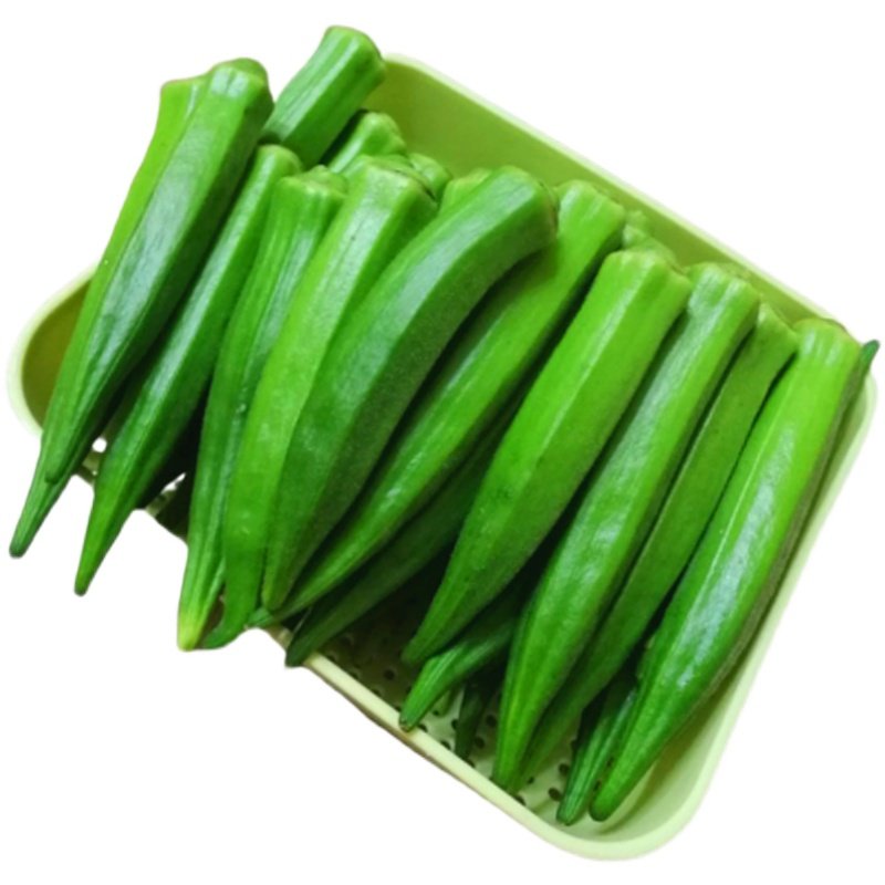 顺丰包邮净重5斤秋葵新鲜现摘现发鲜嫩水果秋葵