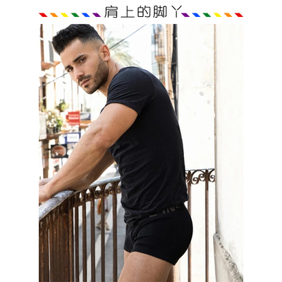cin2三角内裤男性感低腰夏天薄款纯棉闷骚气激凸青年短裤同志gay0