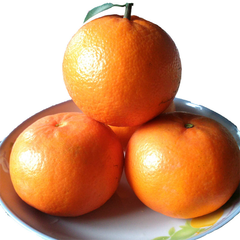 现摘新鲜一级广西沃柑大果贡褚柑橘芦椪耙耙丑粑粑巴西贵妃皇帝柑