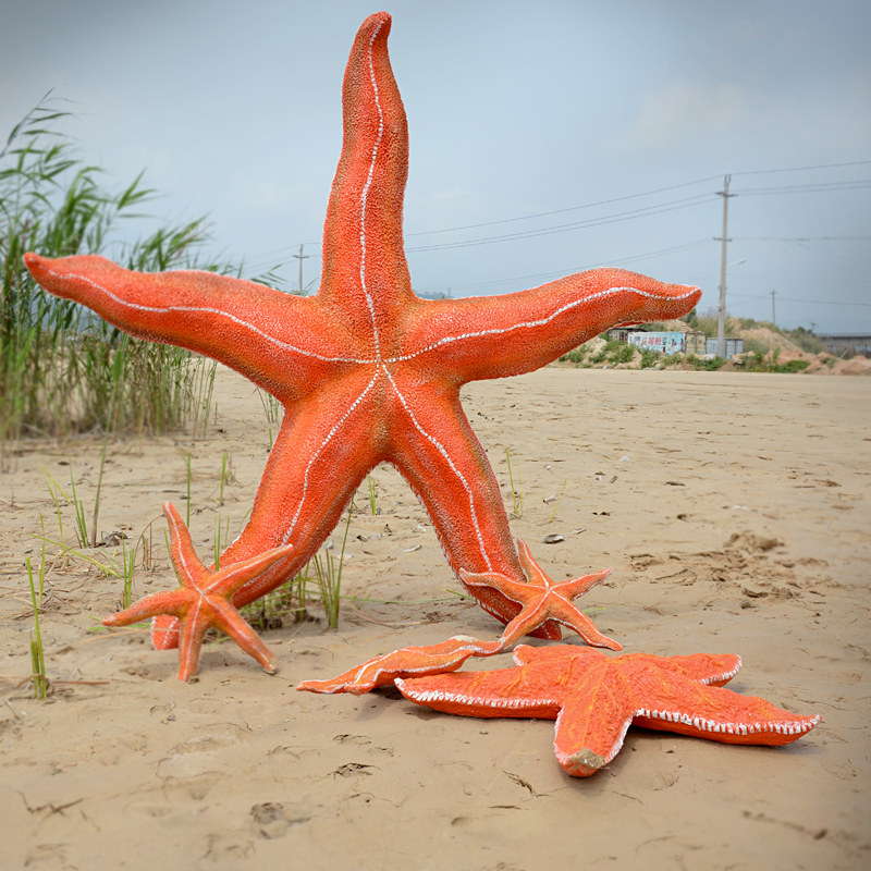 玻璃钢仿真海星模型雕塑品摆件海洋主题工艺品户外园林景观装饰品