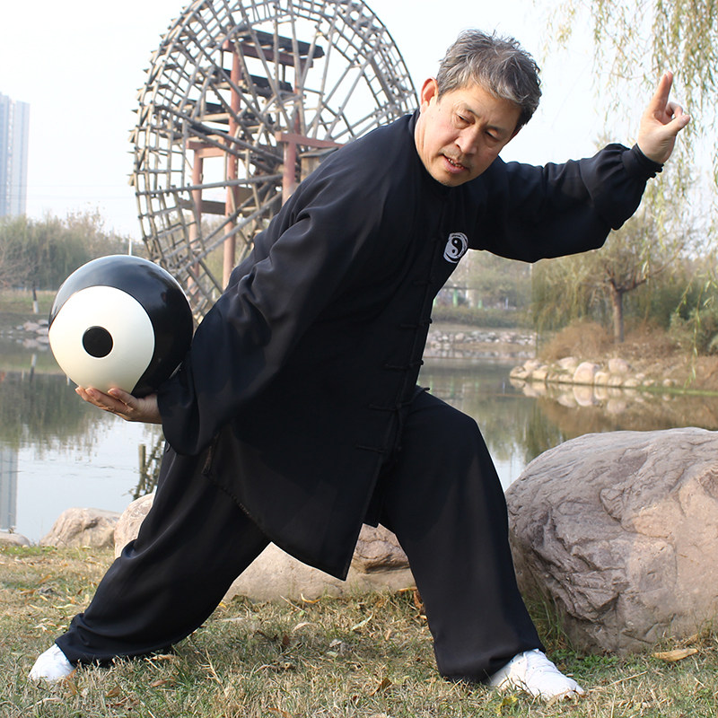 豫天云太极球健身球初学者太极养生球树脂行功功夫球实心球环保