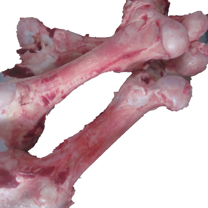 牛骨头新鲜现宰河南农家牛筒骨牛大骨棒骨500g棒子骨烧烤牛骨髓
