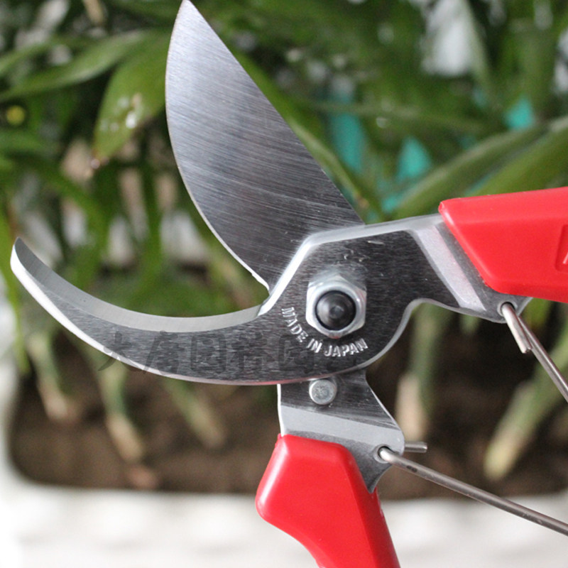 日本进口爱丽斯剪刀修枝剪ars120dx修花粗枝剪省力园艺剪刀包邮