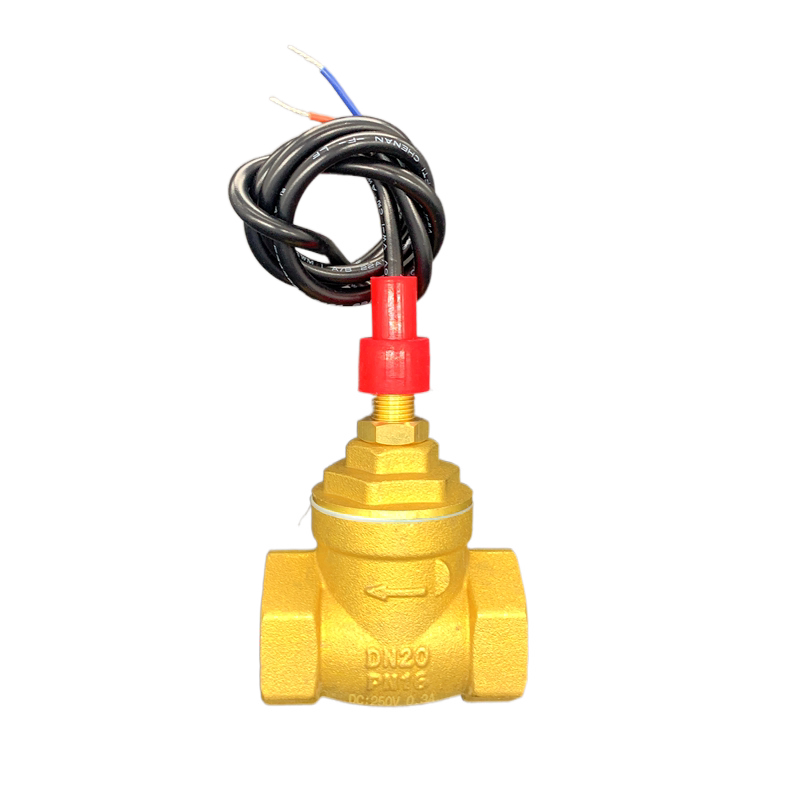 全铜6分dn20开关信号流量开关水流控制挡板板式流量计