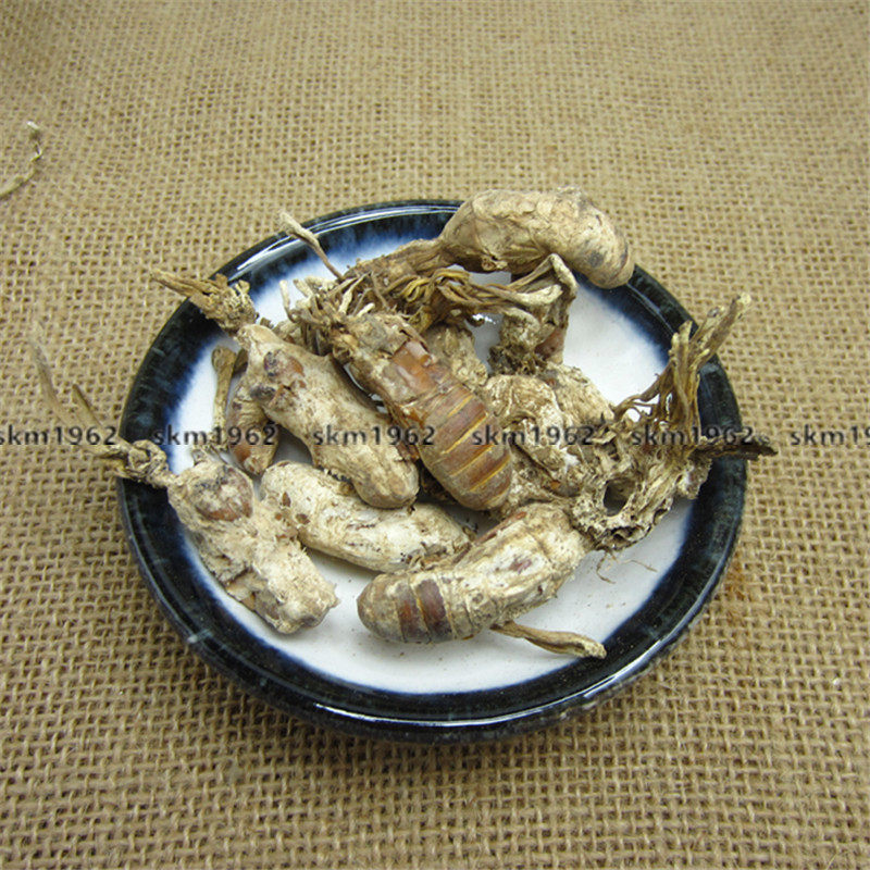 金蝉中药材虫花蝉蛹蝉茸大虫虫草另售蝉蜕500克其他药食同源食品