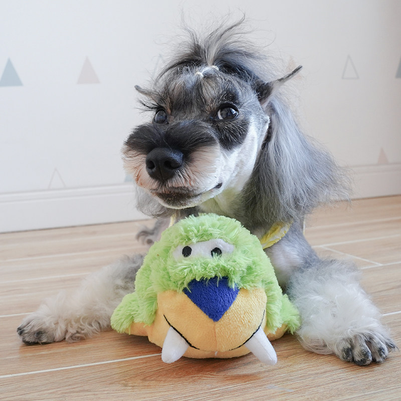 出口美国kong海洋系列隐藏绳结毛绒发声玩具精品发声玩具