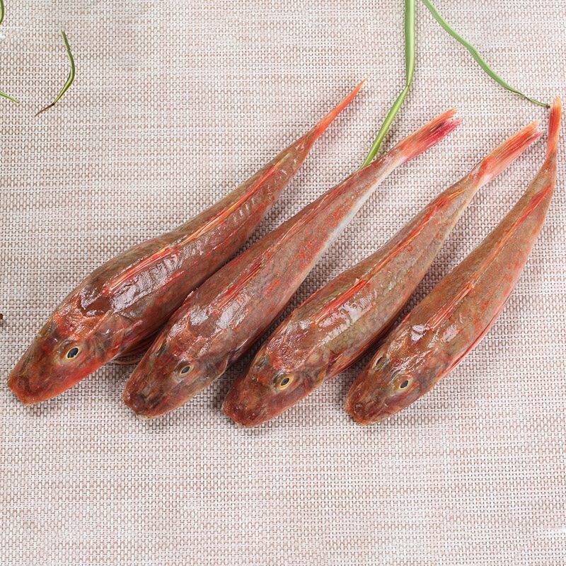 新鲜海红头红娘红娘子子鱼绣鞋5斤顺丰冷链青花鱼