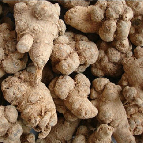 三七中药材云南田三七田七60头500克包邮其他药食同源食品