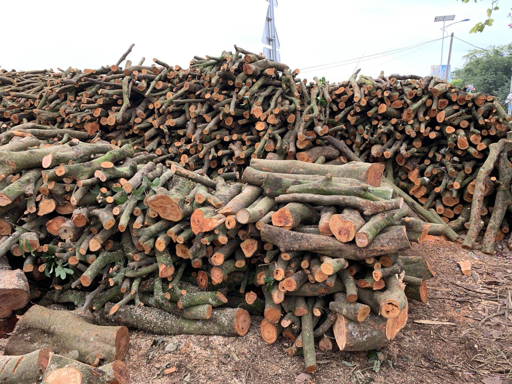 木柴柴火户外烧烤篝火野炊壁炉客厅装饰荔枝烧烤炭