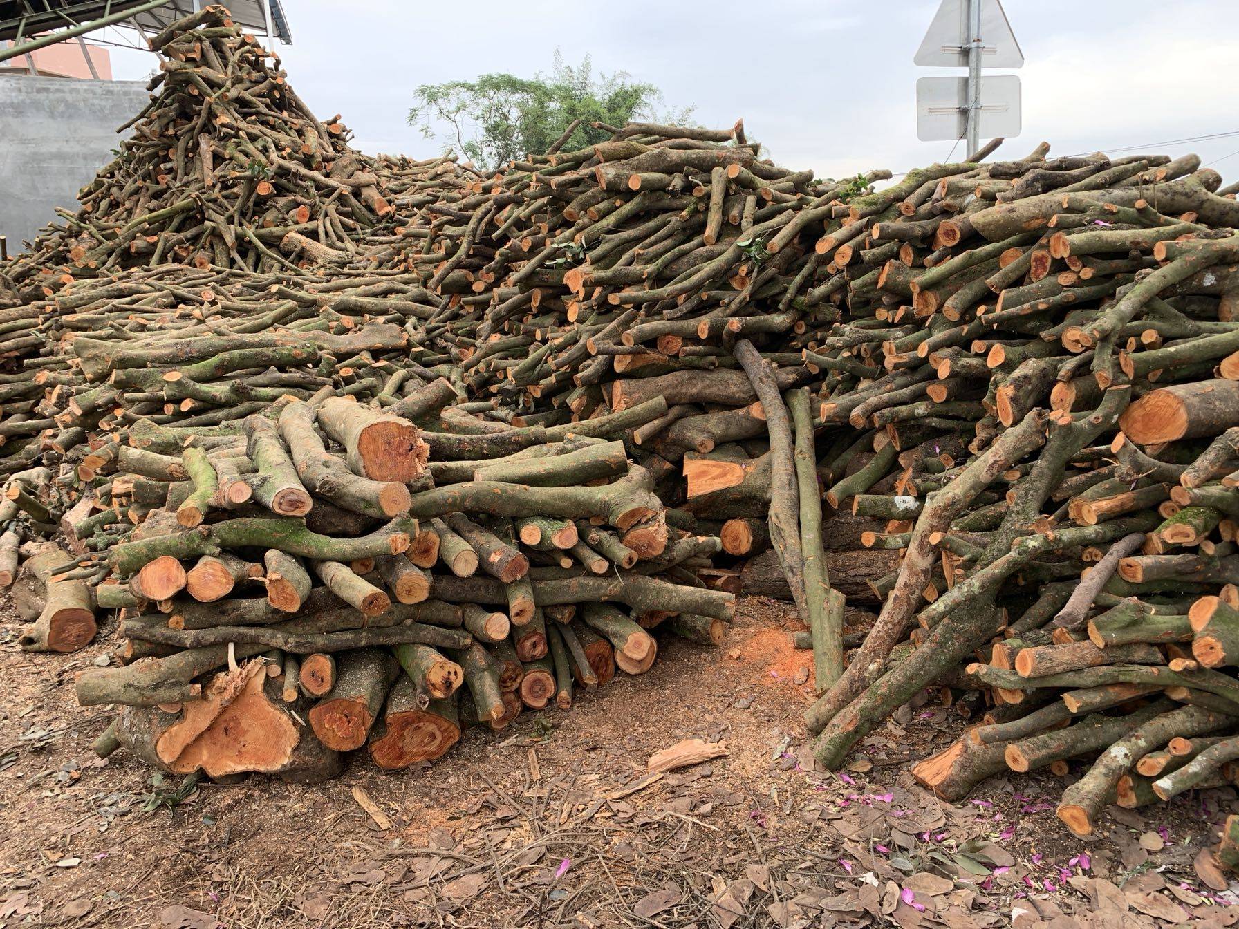 木柴柴火户外烧烤篝火野炊壁炉客厅装饰荔枝烧烤炭