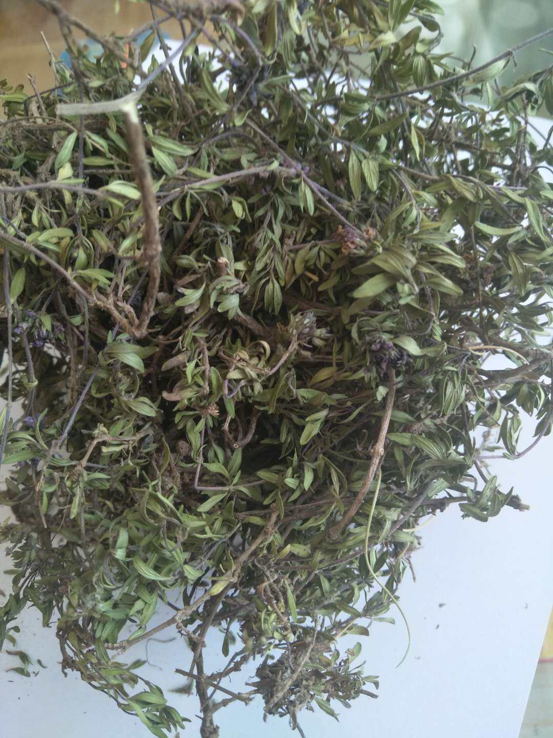 地椒陕北特产野生100g草地花椒包邮连茎地椒地花椒