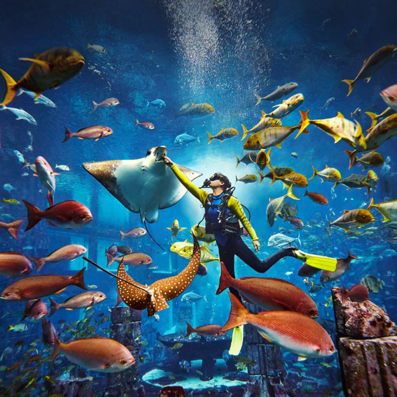 【随买随用】海南三亚亚特兰蒂斯酒店失落的空间水族馆门票含接驳