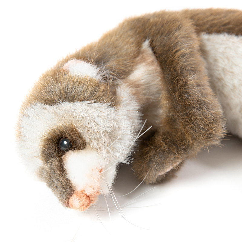 澳洲hansa进口仿真动物毛绒玩具5706卧姿雪貂公仔毛绒布艺类玩具