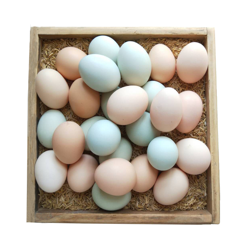 鸡蛋楚逸农家散养月子新鲜五彩正宗鸡蛋