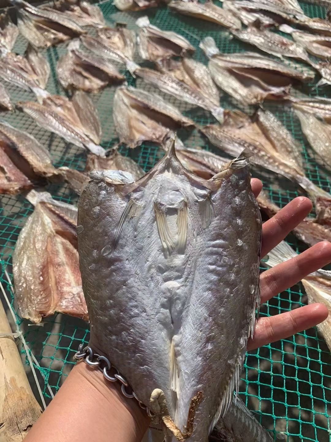 湛江江特产自三牙鱼干切片渔鲜生淡晒500g三齿鱼干