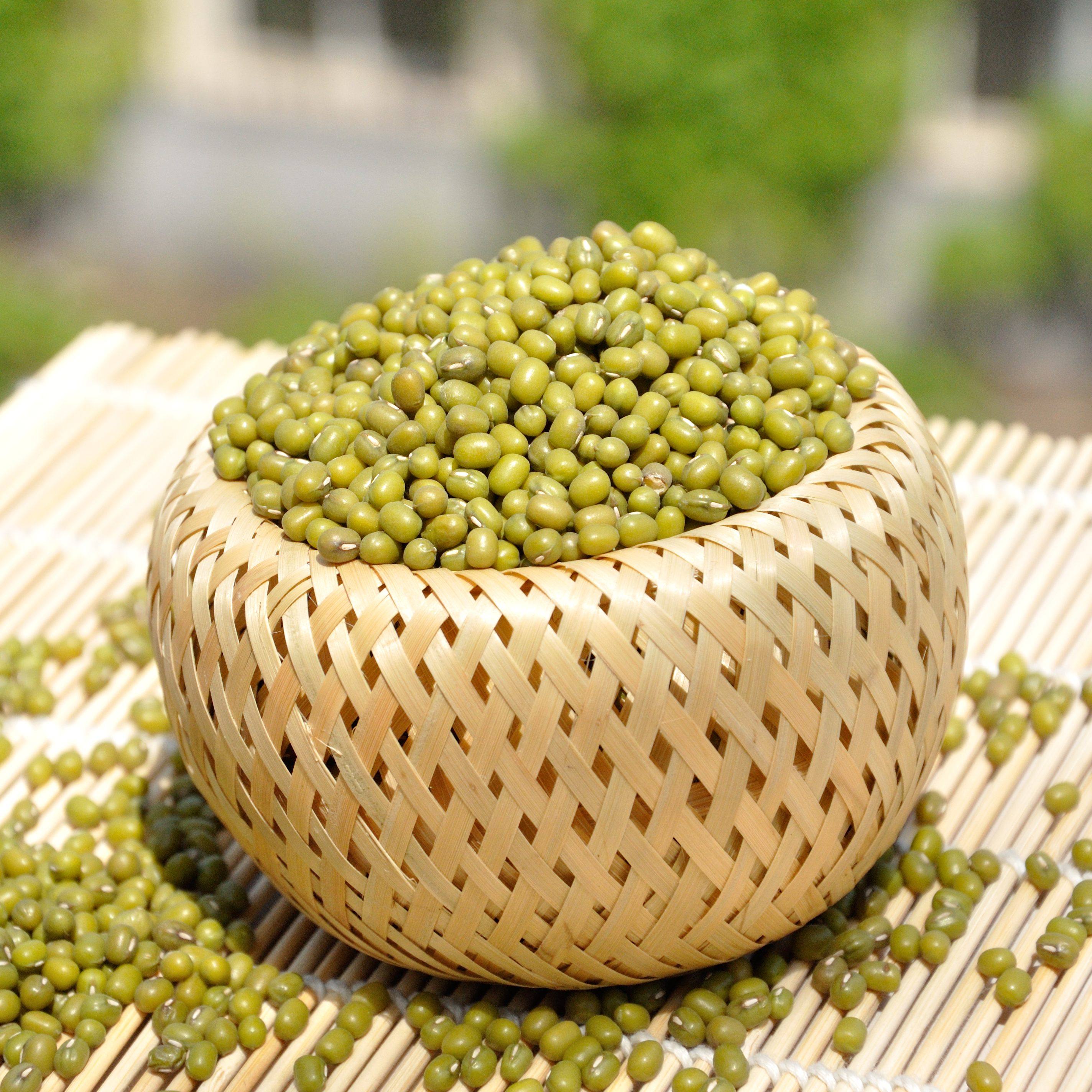 绿豆东北可生包邮5斤1袋1斤芽豆农家毛绿豆绿豆