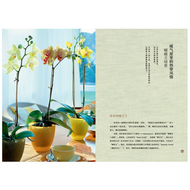 Chinese Geography Palm Garden by Zhang Chenliang, Master of Natural History, Guide to Cultivation of Ornamental Plants from Master of Natural Experience, CITIC Publishing House Popular Science Books Popular Science Illustrated Books Home/Home Home Gardening Books Chinese Geography Palm Garden by Zhang Chenliang, Master of Natural History, Guide to Cultivation of Ornamental Plants from Master of Natural Experience, CITIC Publishing House Popular Science Books Popular Science Illustrated Books Home/Home Home Gardening Books