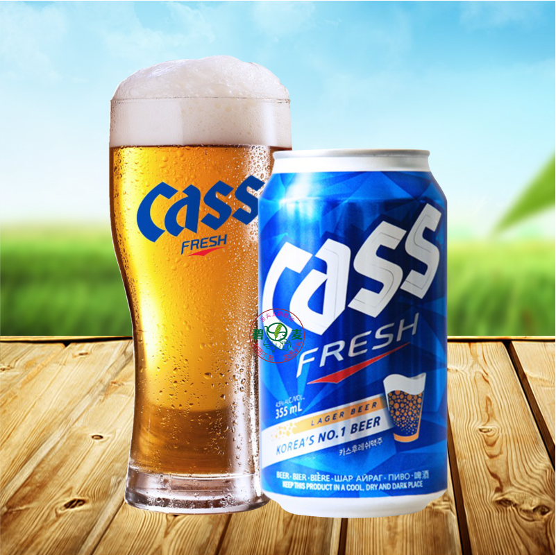 啤酒1组包邮韩国进口cass凯狮原味355ml6听啤酒