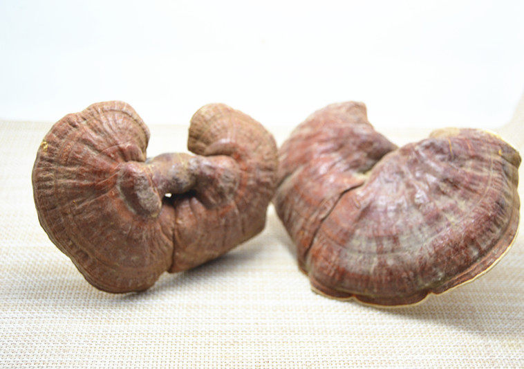 灵芝西藏特产正品白心整朵特级250g190整枝灵芝