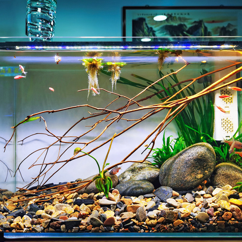 鱼缸led照明灯水草缸灯热带鱼金鱼水族箱观赏灯全照明器材