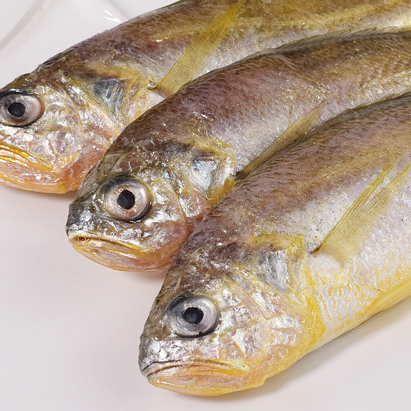 小黄黄鱼黄花鱼新鲜冷冻海鱼海鲜野生渤海烟台黄鱼