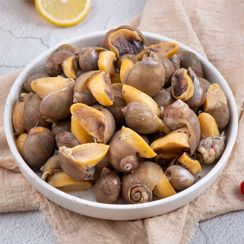 老婆脚假鲍鱼海鲜海蜗牛鲍螺鲜活速冻黄金珍珠海螺