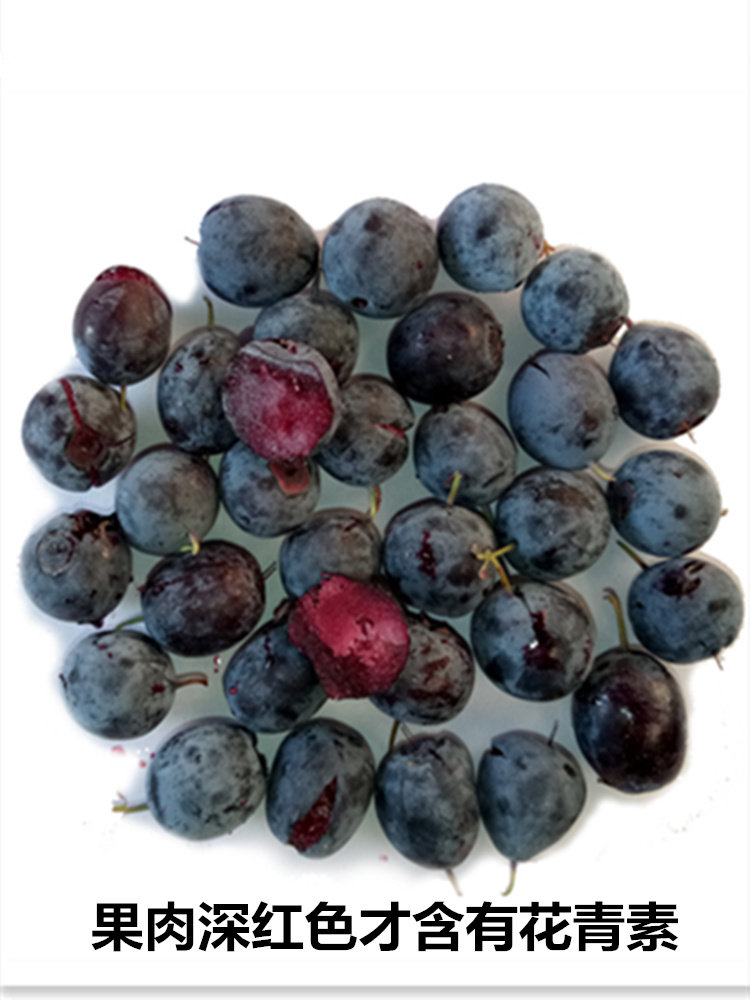 东北大兴安岭冷冻野生蓝莓鲜果新鲜天然学生护眼蓝莓