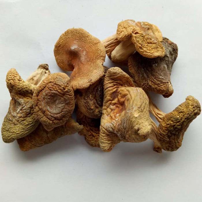 梨菇干货福建三明宁化天然野生青面杂菇干天然绿色农家500g包邮