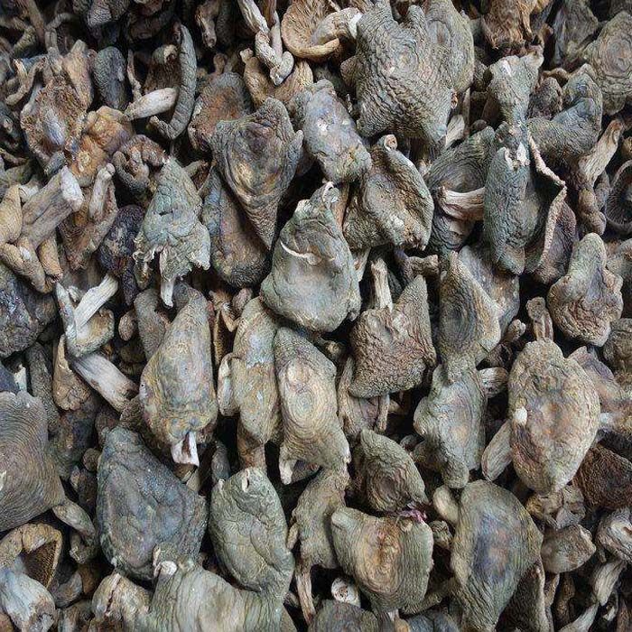 梨菇干货福建三明宁化天然野生青面杂菇干天然绿色农家500g包邮