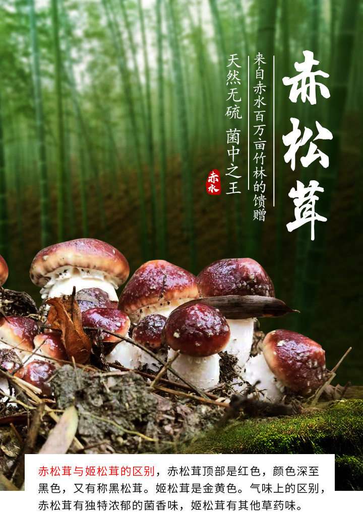 贵州特产姬松赤松香菇干货农产品球盖天然无硫姬松茸