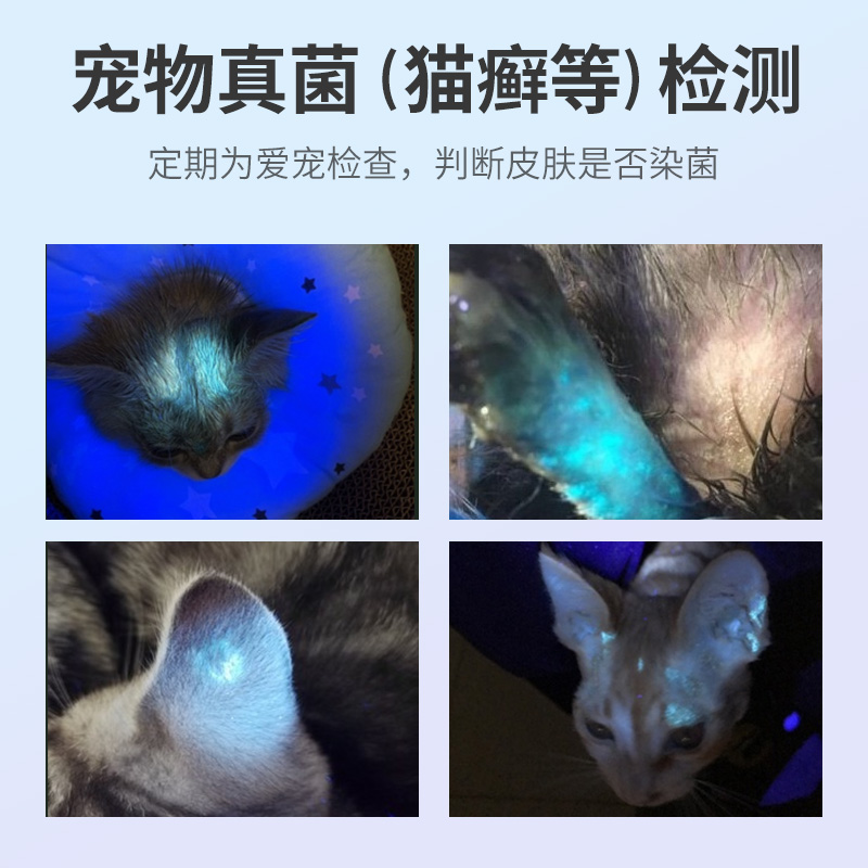 伍德氏灯猫癣专用手电筒猫藓灯紫光真菌猫咪皮肤病检测猫尿紫外线