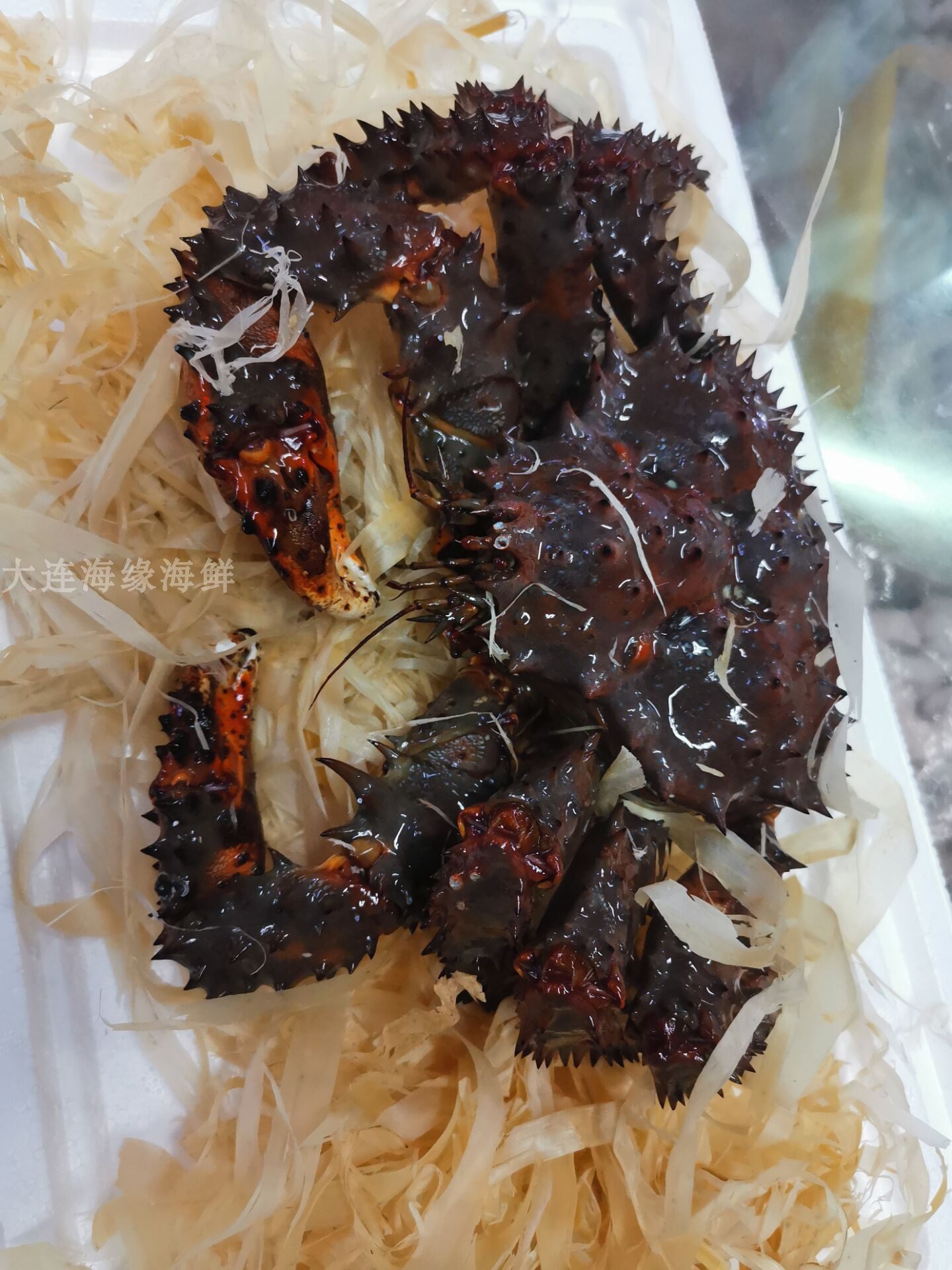 一斤鲜活花礁帝王花椒254斤称重野生海鲜新鲜帝王蟹