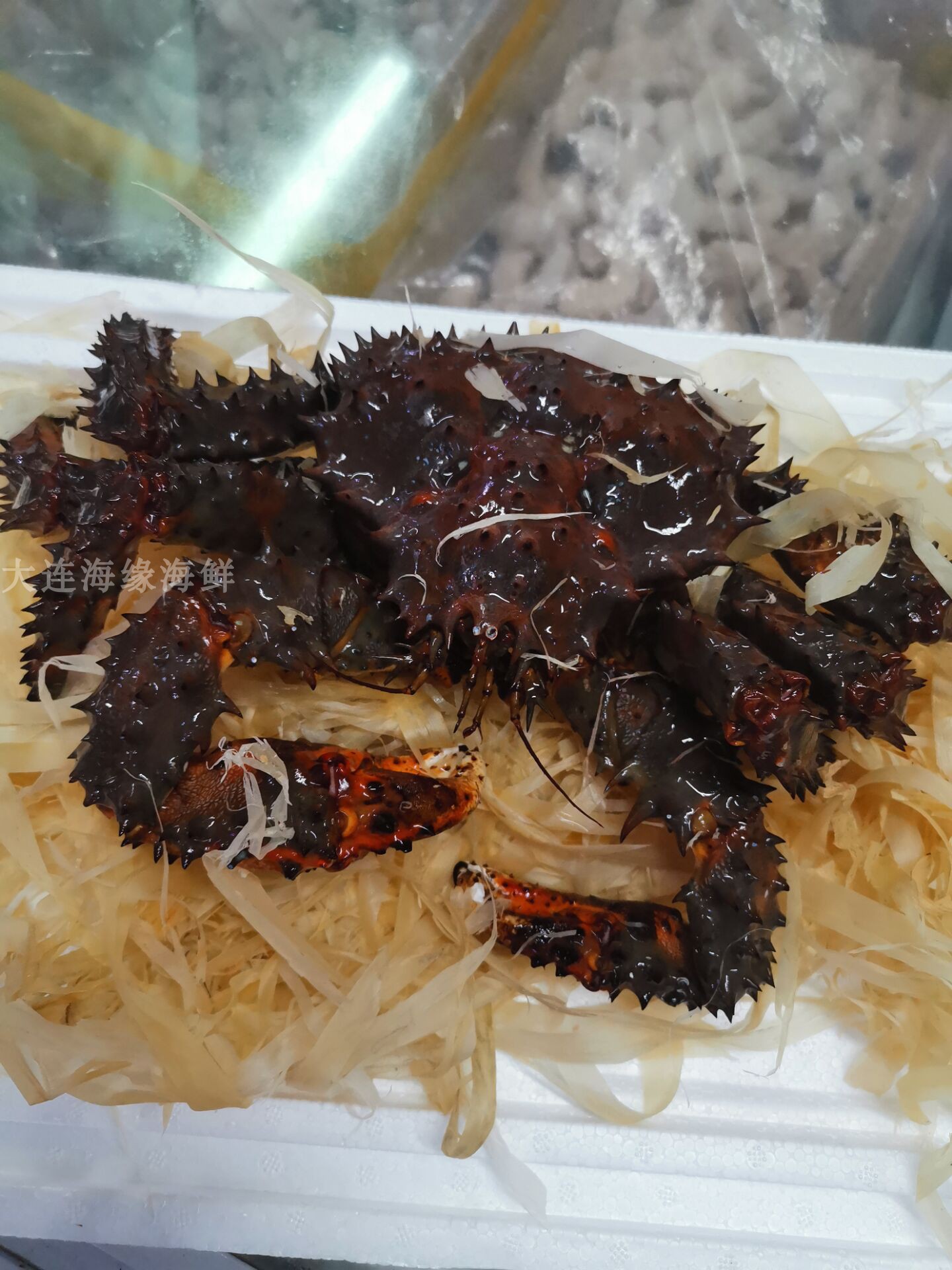 一斤鲜活花礁帝王花椒254斤称重野生海鲜新鲜帝王蟹