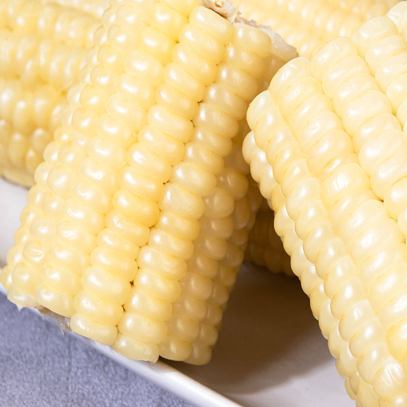 玉米甜黏转基因即食东北新鲜苞米真空小棒白糯玉米