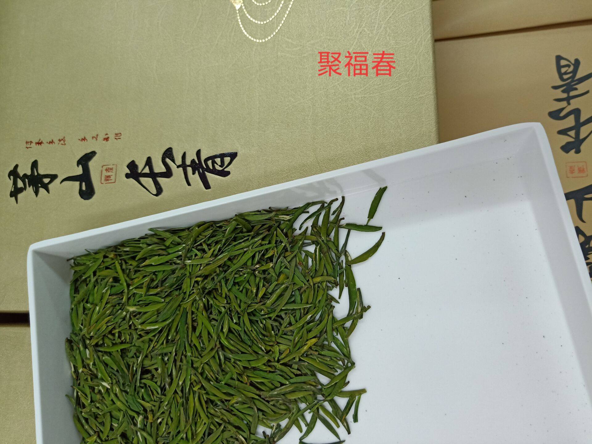 急速发货茅山长青绿茶2021年明前新茶茅山特产茶叶250g老茶农特级